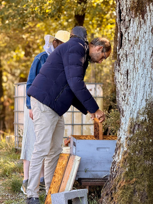 Webinar | Bee Viruses & Bee Immune Mechanisms | February 24th, 2026