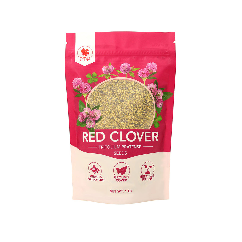 Red Clover Seeds in Canada | Dancing Bee Equipment