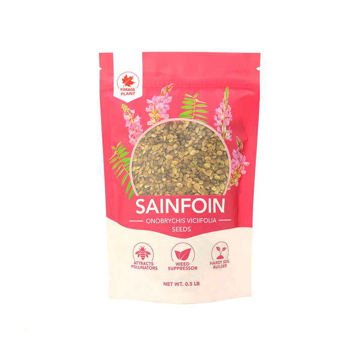 Sainfoin Seeds