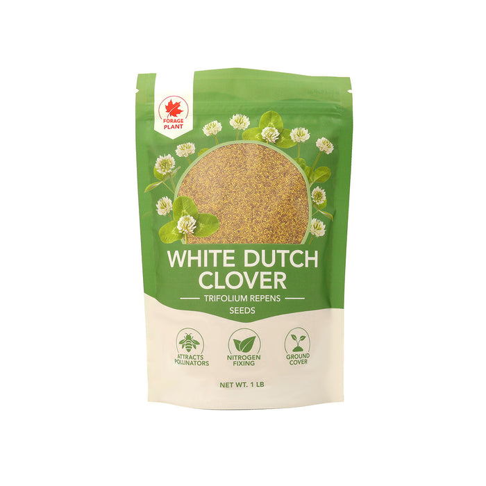 White Dutch Clover Seeds