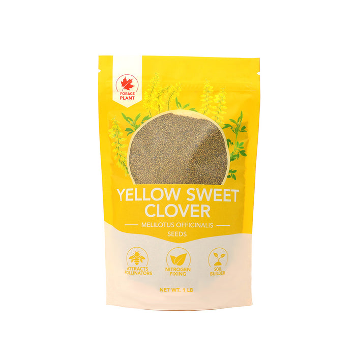 Yellow Sweet Clover Seeds