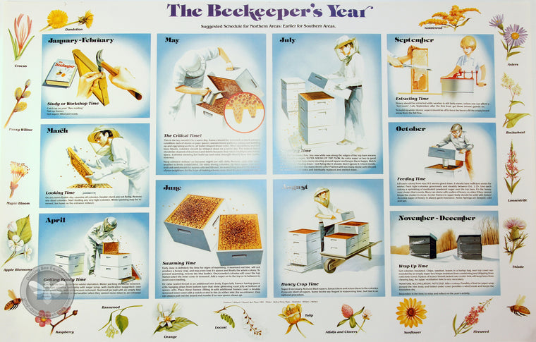 The Beekeeper's Year | Poster