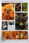 Beekeeping Poster | Set of 5