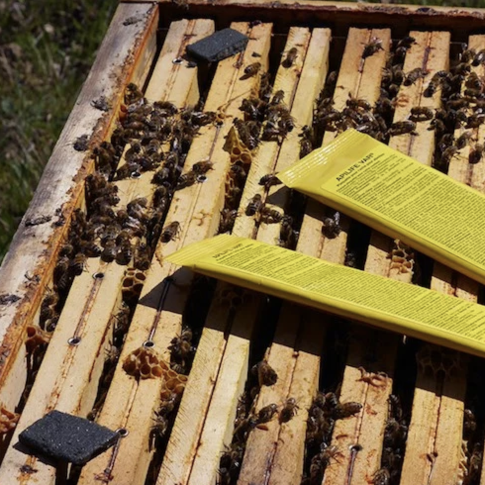 Api Life Var Api Life Var - Varroa Mite Control | Dancing Bee Equipment