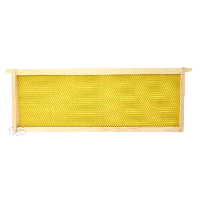Dancing Bee | Assembled Frames with Puracell Foundation | Medium