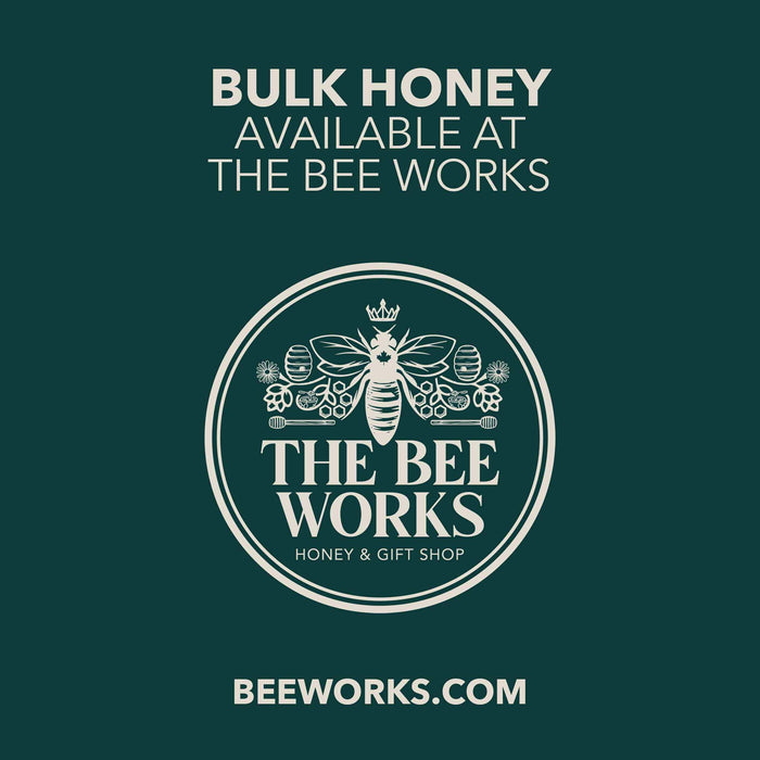 Bulk White Honey | 5 Gallon Pail