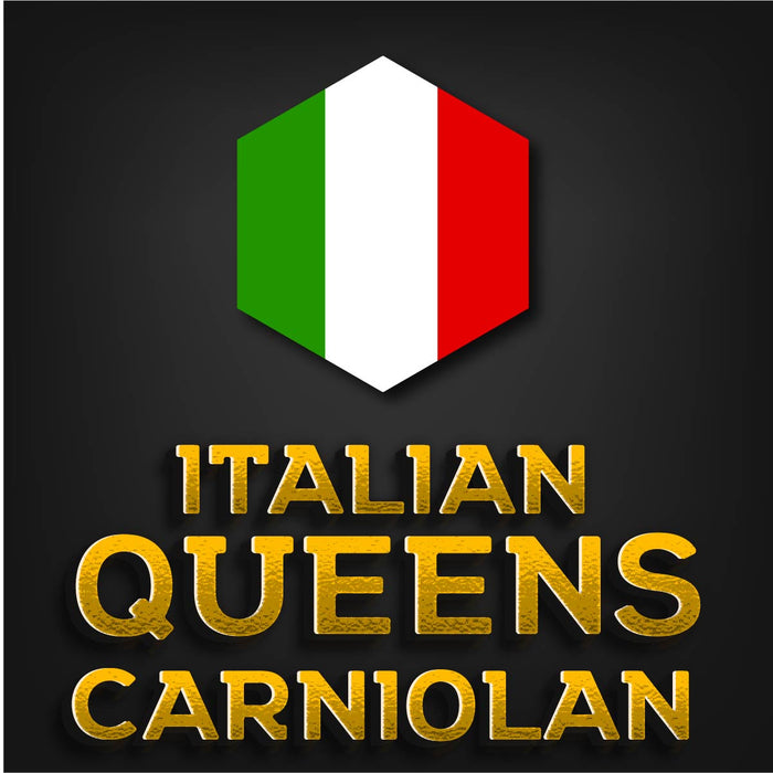 Melita Imported Queen | Italy 2026